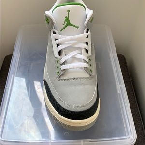 Jordan 3 chlorophyll WORN ONCE!